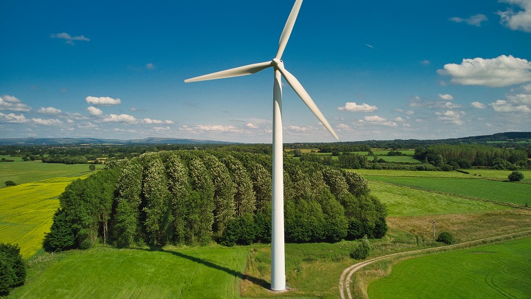 Sustainability for small businesses: Beginners' guide to carbon footprinting