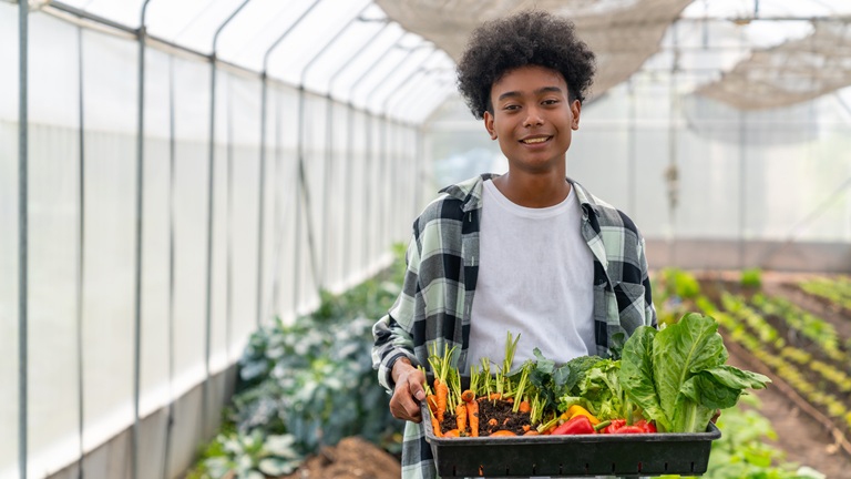 How hiring students can help your business modernise and grow